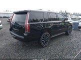 Miniaturka zdjęcia 4