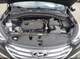 Miniaturka zdjęcia 10