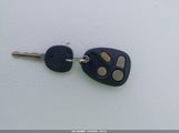 Miniaturka zdjęcia 11