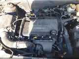 Miniaturka zdjęcia 10