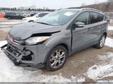 Ford Escape Titanium 1FMCU9J95EUD20879 fotografie