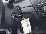 Miniaturka zdjęcia 11