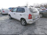Hyundai Tucson Gls KM8JM12B77U525634 снимка