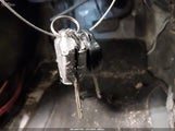 Miniaturka zdjęcia 11