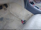 Miniaturka zdjęcia 11