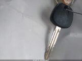 Miniaturka zdjęcia 11