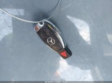 Miniaturka zdjęcia 11