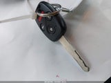 Miniaturka zdjęcia 11