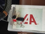 Miniaturka zdjęcia 11