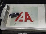 Miniaturka zdjęcia 11