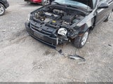 Miniaturka zdjęcia 6