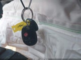 Miniaturka zdjęcia 11