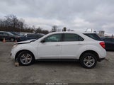Chevrolet Equinox Ls 2GNFLEEK5E6349489 fotografie