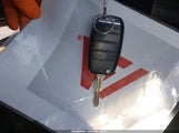 Miniaturka zdjęcia 11