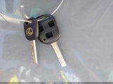 Miniaturka zdjęcia 11