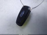 Miniaturka zdjęcia 11