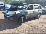 Honda Pilot Ex-L 5FNYF3H58AB020258 снимка