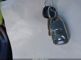Miniaturka zdjęcia 11