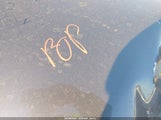 Miniaturka zdjęcia 10