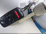 Miniaturka zdjęcia 11