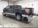 Ford F-150 Xlt 1FTFW1ET4CKE37042 снимка