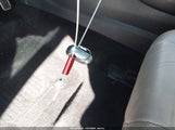Miniaturka zdjęcia 11