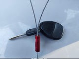 Miniaturka zdjęcia 11