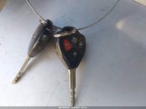 Miniaturka zdjęcia 11
