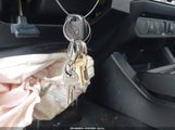 Miniaturka zdjęcia 11