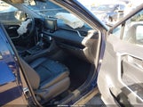 Miniaturka zdjęcia 5