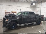 Ford F-150 Fx4/Harley-Davidson/King Ranch/Lariat/Platinum/Xl/Xlt 1FTFW1EV9AFC02983 fotografie