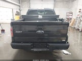 Ford F-150 Fx4/Harley-Davidson/King Ranch/Lariat/Platinum/Xl/Xlt 1FTFW1EV9AFC02983 fotografie