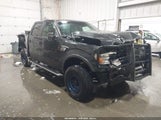 Ford F-150 Fx4/Harley-Davidson/King Ranch/Lariat/Platinum/Xl/Xlt 1FTFW1EV9AFC02983 fotografie