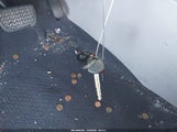 Miniaturka zdjęcia 11