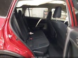 Miniaturka zdjęcia 8