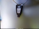 Miniaturka zdjęcia 11