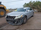 Miniaturka zdjęcia 6