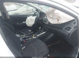 Miniaturka zdjęcia 5