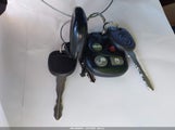 Miniaturka zdjęcia 11