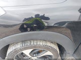 Miniaturka zdjęcia 6