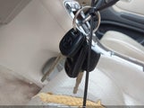 Miniaturka zdjęcia 11