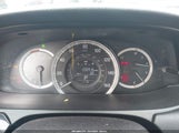 Miniaturka zdjęcia 7