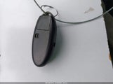 Miniaturka zdjęcia 11