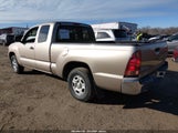 Toyota Tacoma Access Cab 5TETX22N37Z461961 photo