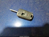 Miniaturka zdjęcia 11