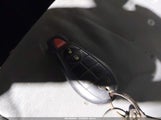 Miniaturka zdjęcia 11