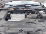 Miniaturka zdjęcia 10