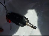 Miniaturka zdjęcia 11