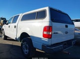 Ford F-150 60Th Anniversary/Fx4/King Ranch/Lariat/Xlt 1FTPW14V98FB50500 photo