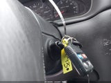 Miniaturka zdjęcia 11